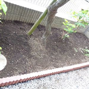 8.便利屋の草取　